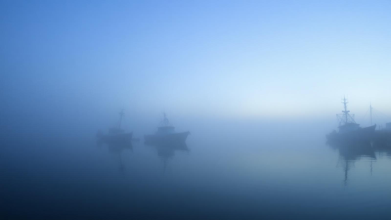 Foggy Canadian harbour at dawn with fishing boats silhouetted